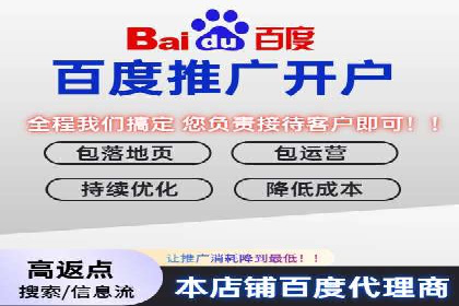 百度竞价公司与品牌合作：双赢的案例分析